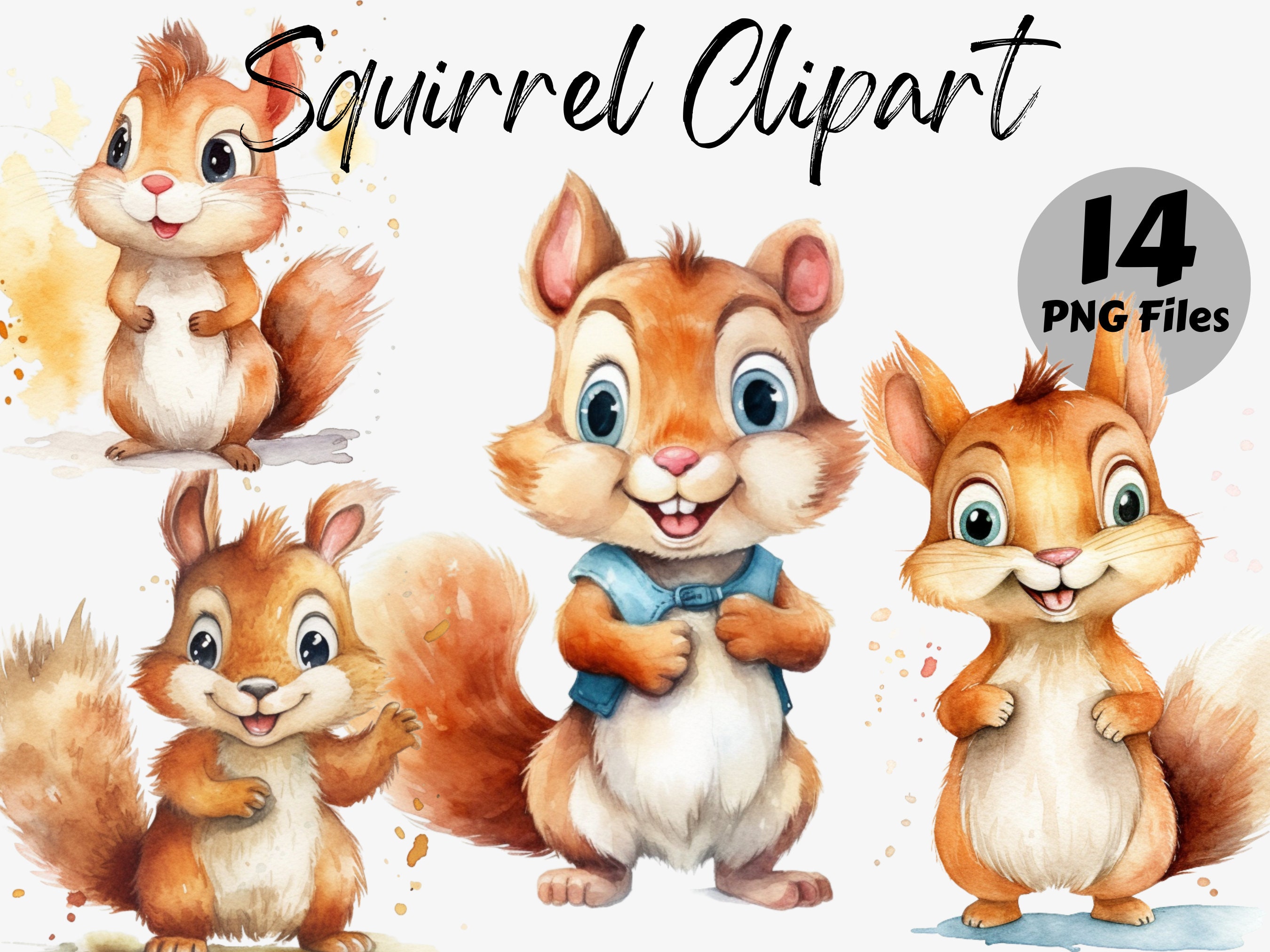 Watercolor Squirrel Clipart Bundle Squirrel PNG Baby Shower Graphics ...