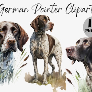 May include: Digital clipart featuring three German Shorthaired Pointers depicted in a watercolour style. The dogs are brown and white with black noses and brown eyes. Each dog is in a different pose, one looking at the camera, one looking to the side, and one looking upwards. The background is white with some green grass and leaves.