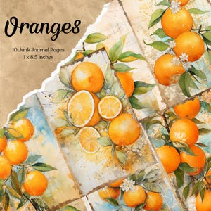 Páginas imprimibles de diario basura de naranjas, papel vintage, papel artesanal para diario, papel para álbum de recortes de frutas, descarga digital, fondo de diario, cítricos