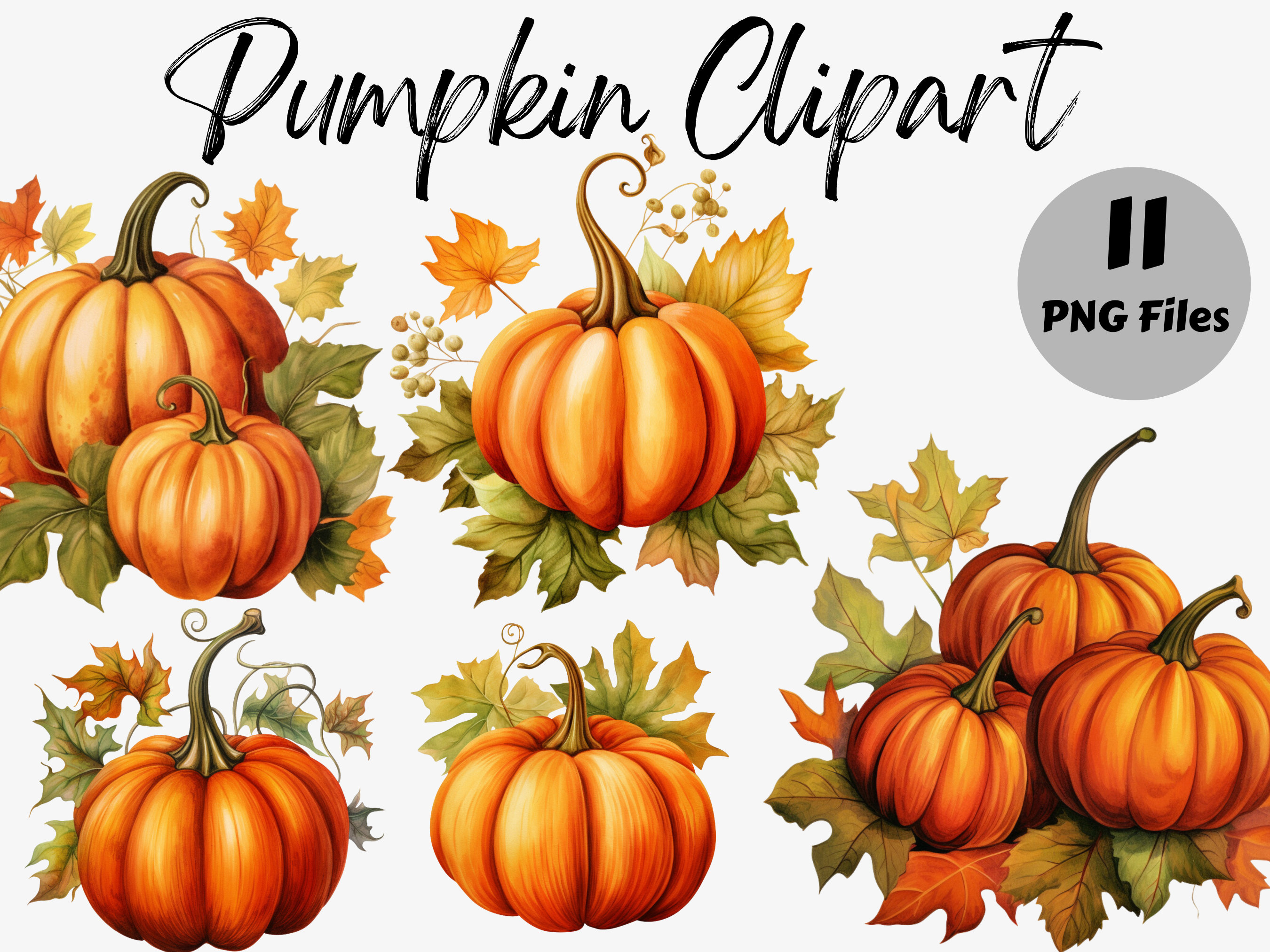 Watercolor Pumpkin PNG Clipart Bundle | Halloween PNG | Pumpkin ...