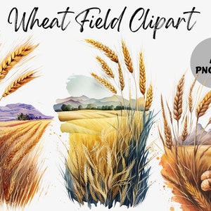 Aquarel tarweveld clipart | Tarweveld | Digitale afbeeldingen | Grafisch | Tarweveld PNG | Digitale download | Commercieel gebruik | Plakboek