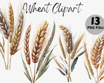Watercolor Wheat Clipart Bundle | Wheat Digital Images | Wheat Graphics | Wheat PNG | Digital Download | Farm Clipart | Wheat Field PNG