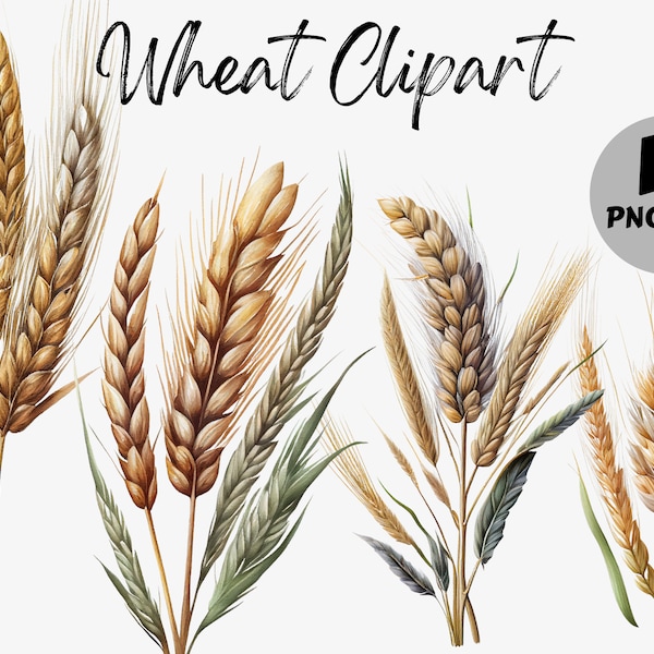 Watercolor Wheat Clipart Bundle | Wheat Digital Images | Wheat Graphics | Wheat PNG | Digital Download | Farm Clipart | Wheat Field PNG