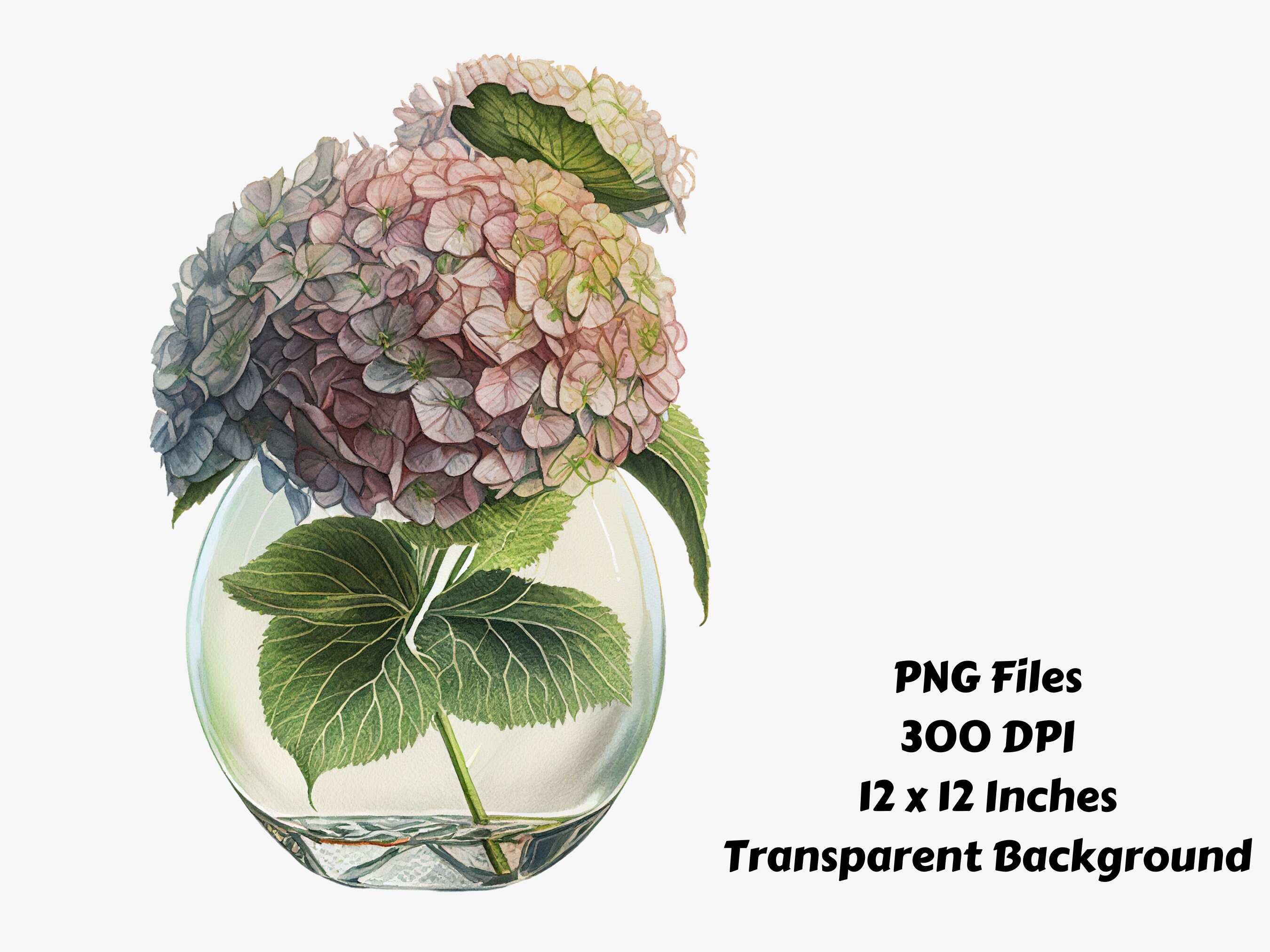 Hydrangea in Vase Clipart Bundle | Hydrangea Digital Images | Hydrangea ...