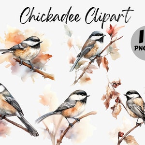 Bundle de Clipart mésange aquarelle | Images numériques mésange | Graphiques de mésange | Graphiques d'oiseaux aquarelle | Mésange PNG