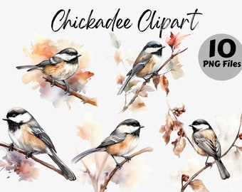 Watercolor Chickadee Clipart Bundle | Chickadee Digital Images | Chickadee Graphics | Watercolor Bird Graphics | Chickadee PNG