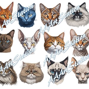 12 Various Cat head shots in PNG format