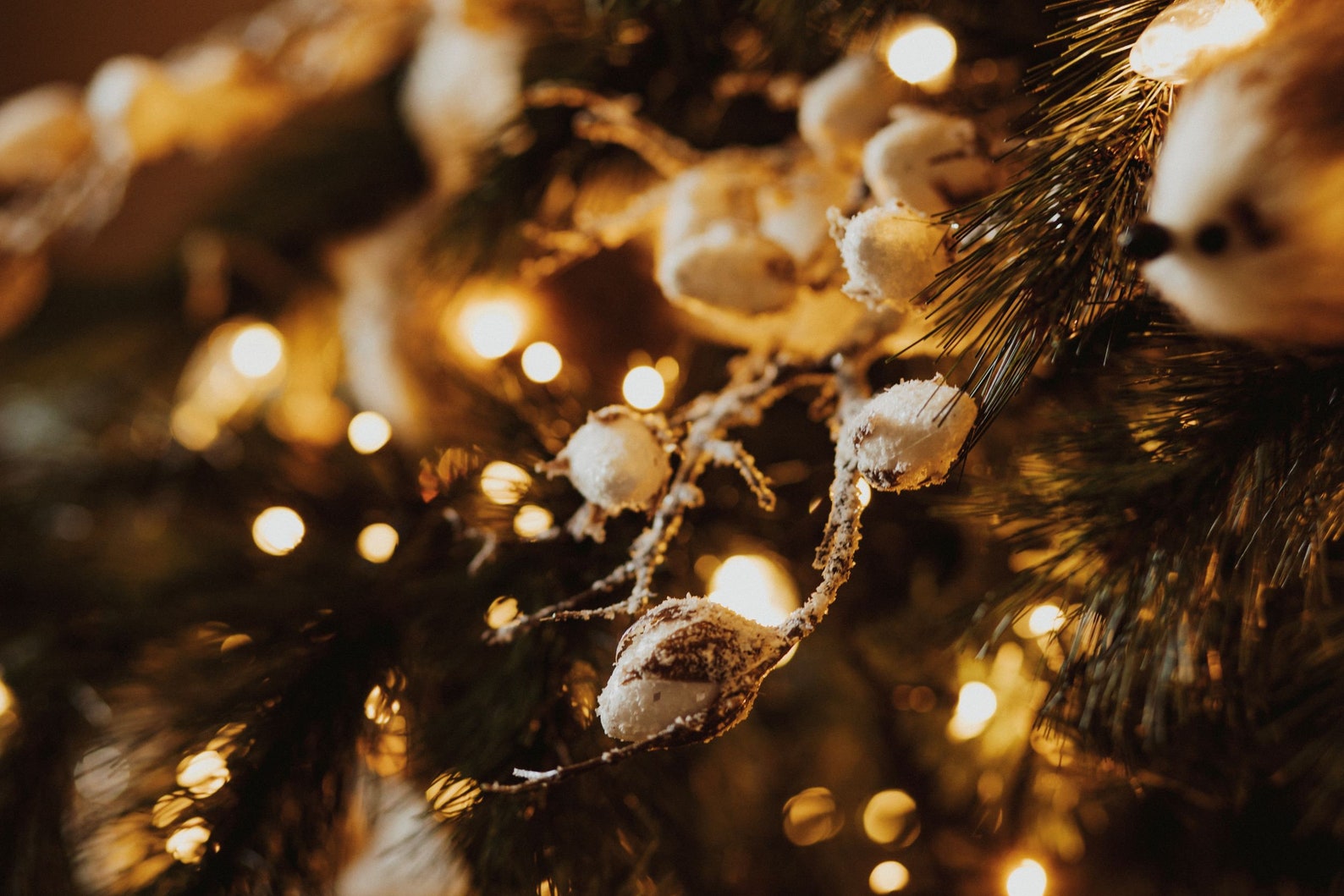 The Féérik Kit le Farmhouse Complete Set of Highend Ornaments for a