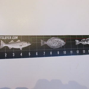 Fish Measure Tape 