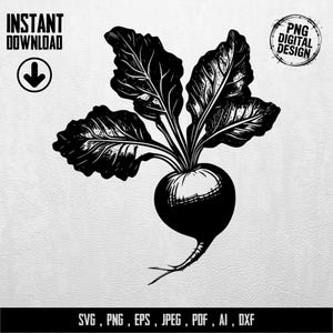 Beetroot SVG, Digital Download Beet Clipart Bundle, Garden Vegetable PNG, Farmhouse Kitchen Decor, Vegan Foodie Gift, Instant Download Cut