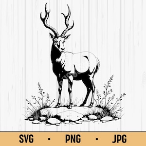 Könnte beinhalten: Schwarz-Weiß-Illustration eines Hirsches mit großem Geweih, der auf einer felsigen Oberfläche mit Gras und kleinen Pflanzen steht. Das Bild hat ein rustikales, naturverbundenes Thema. Der Text "SVG • PNG • JPG" befindet sich unten.