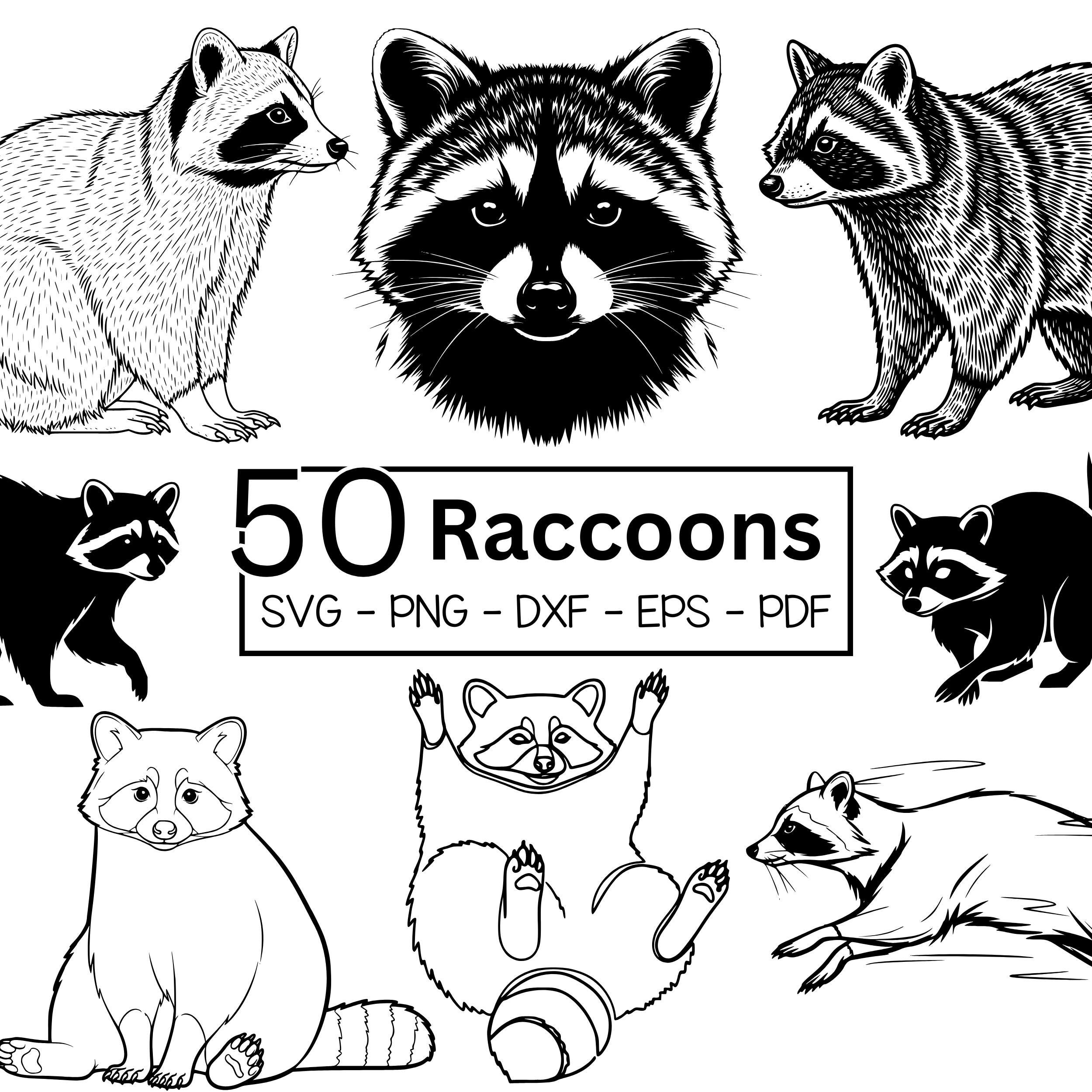 50 Raccoons Svg Png Dxf Eps Pdf Bundle - Cute Raccoon Clipart for ...