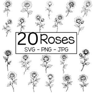 20 eleganta rosillustrationer SVG PNG JPG - Digital ros clipart-paket, handritad blommig linjekonst, omedelbar nedladdning för sublimering