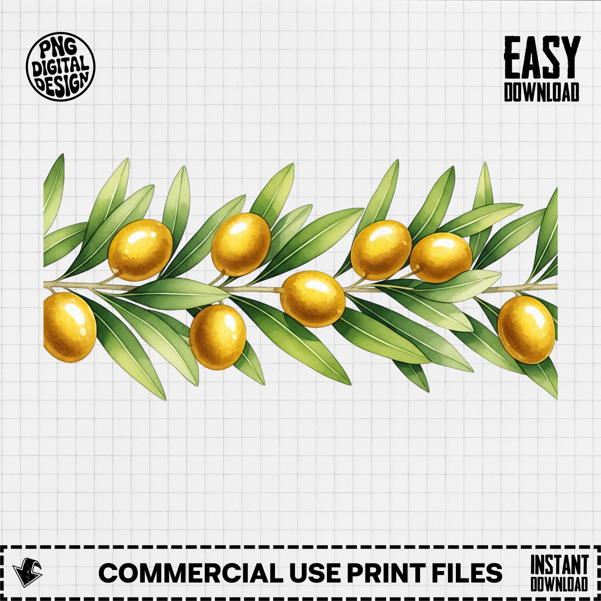 34 Olive Branch PNG Clipart - Watercolor Olives PNG, Digital Download ...