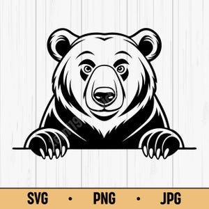 Cute Cartoon Bear Peeking SVG - Clipart, Instant Download, Sublimation, Printable PNG for Cricut, Grizzly Bear, Bear Cricut