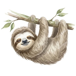 May include: A watercolour illustration of a sloth hanging from a branch. The sloth is depicted with light brown fur, a white face, and closed eyes. The branch is light brown with green leaves, and the sloth appears relaxed.
