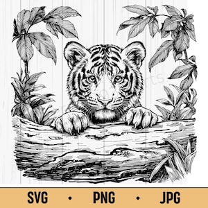 Tigre en la jungla SVG PNG JPG: Gran felino asomando entre el follaje, clipart de animales exóticos dibujados a mano para manualidades de naturaleza y vida silvestre