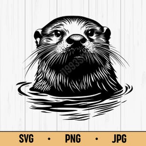Könnte beinhalten: Schwarz-Weiß-Illustration eines Otters, der aus dem Wasser auftaucht. Kopf und Oberkörper des Otters sind detailliert dargestellt, mit Fell und Schnurrhaaren. Der Text "SVG • PNG • JPG" befindet sich unten.