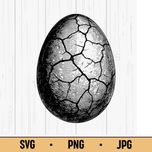 Può includere: Illustrazione in bianco e nero di un uovo incrinato. L'uovo è di forma ovale con una rete di crepe sulla sua superficie. La parte inferiore dell'immagine include il testo "SVG • PNG • JPG".