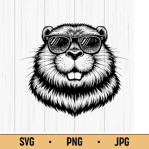 Beaver SVG PNG JPG – Cool Cartoon Beaver with Sunglasses, Funny Forest Animal Vector for Kids Crafts & Nature Shirts