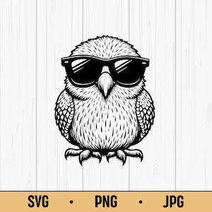 Bird with Sunglasses SVG PNG JPG – Cool Bird Vector, Digital Download for Summer Stickers & Funny Animal Art