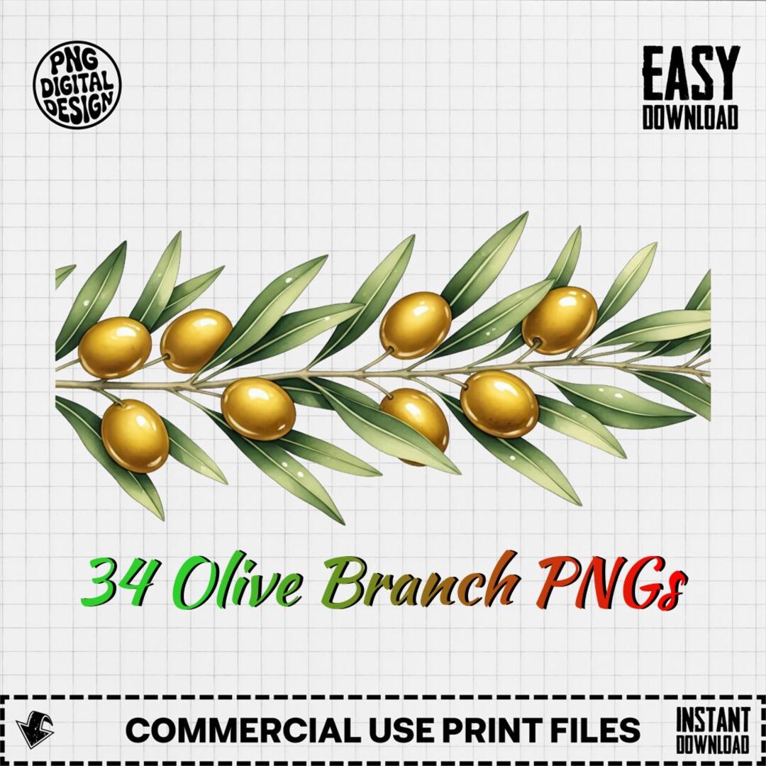 34 Olive Branch PNG Clipart - Watercolor Olives PNG, Digital Download ...