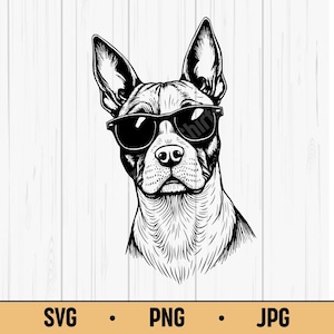 Dog with Sunglasses SVG PNG JPG – Cool Pet Vector, Digital Download for Funny, Dog Lover & Trendy Art