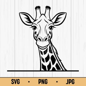 Peeking Giraffe SVG PNG – Cute Safari Animal Clipart, Smiling Giraffe Head Silhouette, Jungle Vector Design for Cricut & Kids Crafts