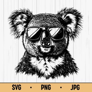 Cool Koala with Sunglasses SVG PNG JPG – Hipster Koala Vector Illustration, Digital Download for T-Shirts & Stickers