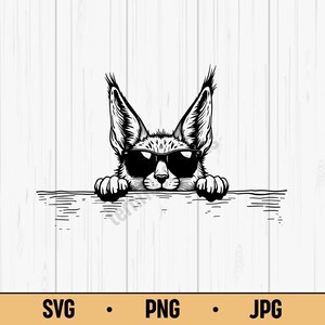 Könnte beinhalten: Schwarz-Weiß-Illustration eines Luchses mit Sonnenbrille, der über eine horizontale Linie blickt. Der Luchs hat große, spitze Ohren und hält sich mit seinen Pfoten an der Linie fest. Der Hintergrund ist ein weißes Holzplanken-Design. Der untere Teil des Bildes enthält den Text "SVG • PNG • JPG".