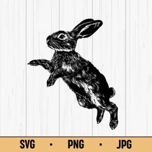 May include: Black and white illustration of a rabbit in mid-jump. The rabbit is depicted with detailed fur texture and is set against a white wood-grain background. The bottom of the image includes the text "SVG • PNG • JPG".
