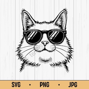 Gatto SVG PNG JPG - Gatto con occhiali da sole vettoriale, download digitale per animali domestici, umorismo e arte della cultura pop