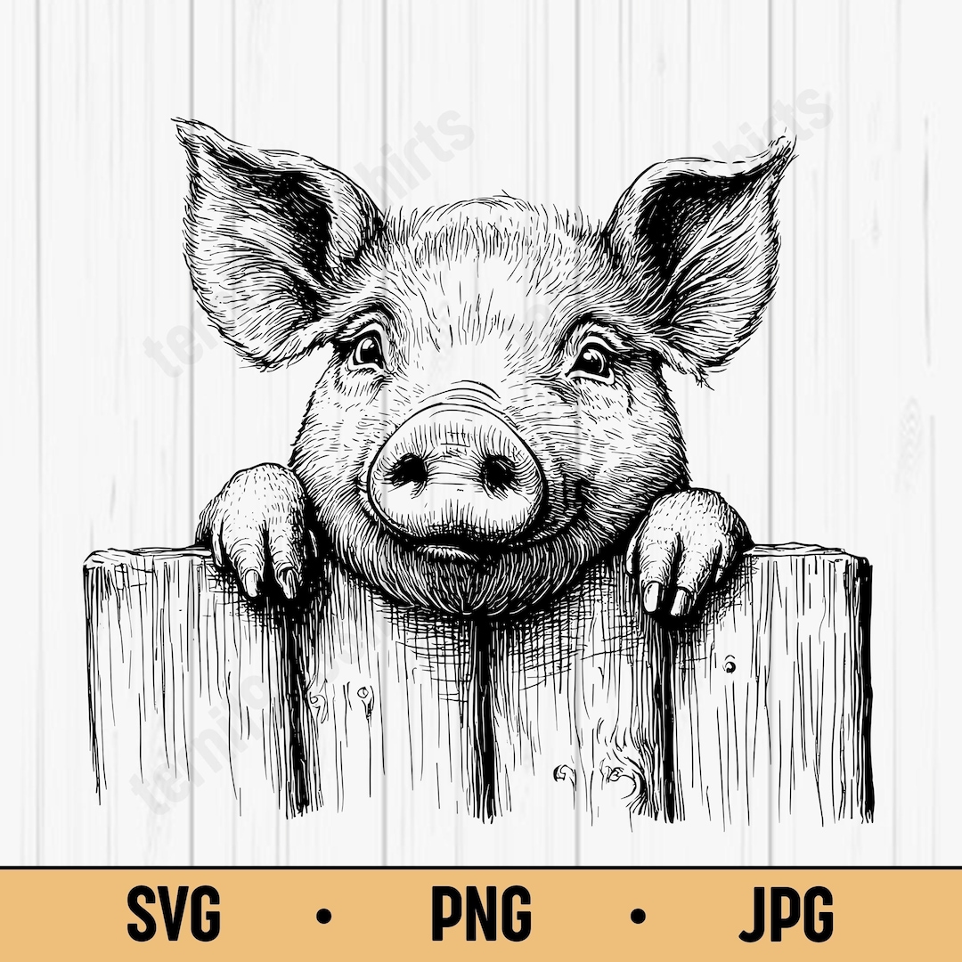 柵の向こうから覗く豚 SVG PNG JPG – かわいい農場の動物の線画