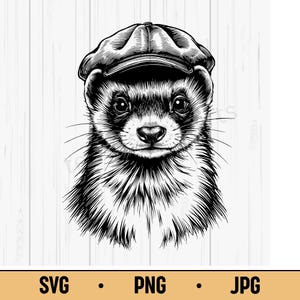 Donnola con cappello SVG PNG JPG – Divertente donnola con cappello, carina clipart di animali della foresta per lavoretti naturalistici e design di magliette