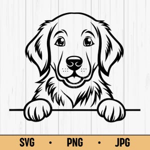 Friendly Golden Retriever Dog Clipart - Instant Download for Sublimation, Printable PNG, Cricut Designs, Coloring Fun