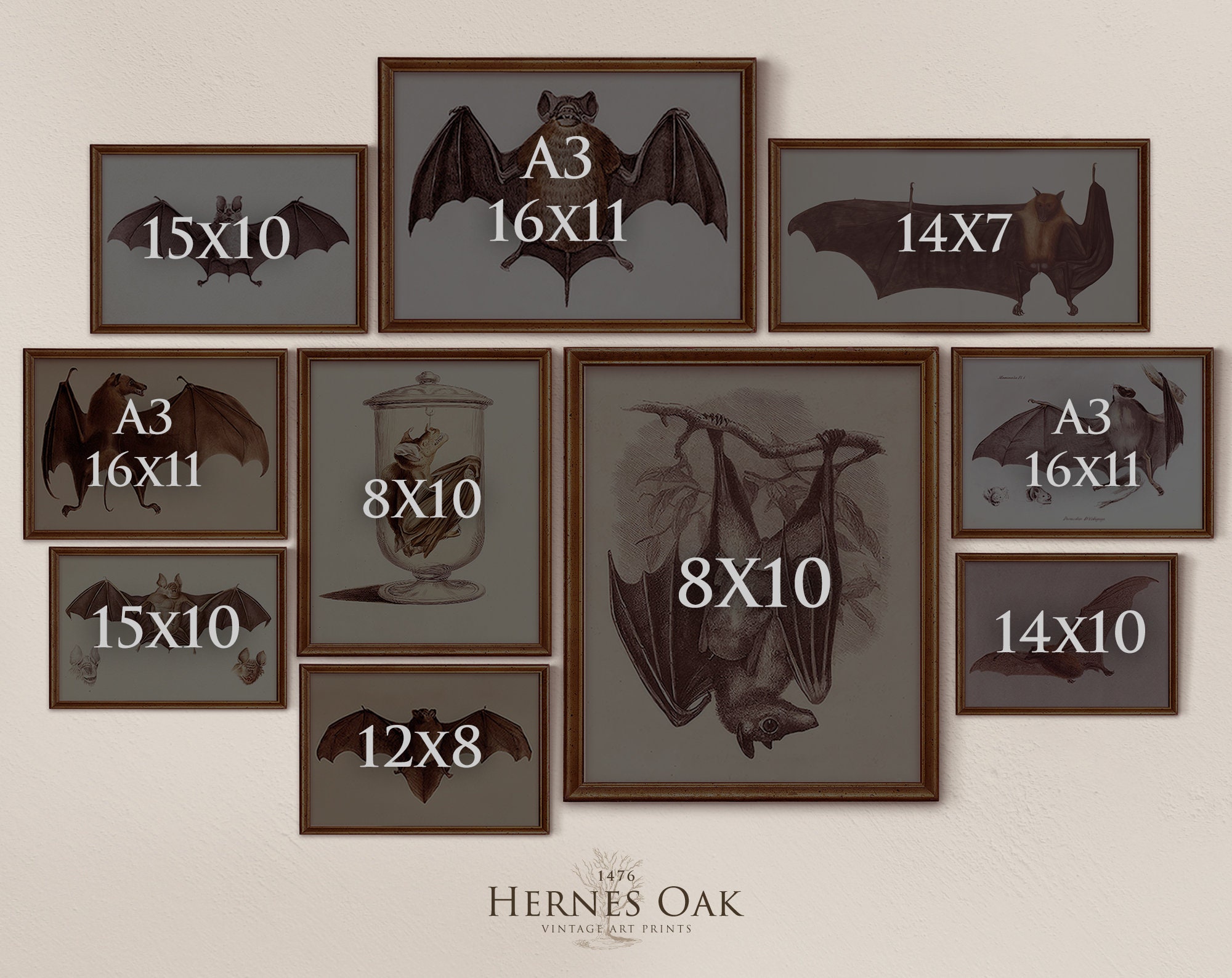 Vintage Bat Print Set, Gallery Wall Art, Dark Academia (digital ...
