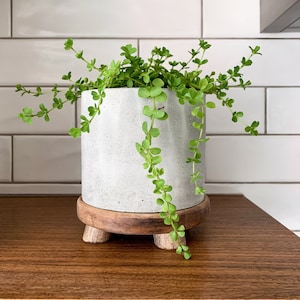 Handgemachter Beton Blumentopf und Holztablett im Set | Modern | Bauernhaus | Rustikal |Minimalistische Wohnkultur - BOHO MONDKANNE - 10,8 cm