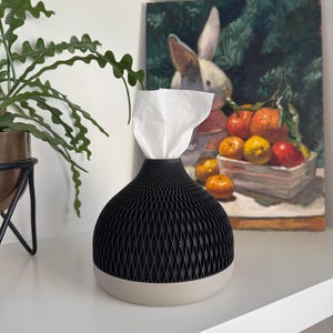 May include: A black and beige tissue box with a geometric design. The tissue box is on a white shelf, with a painting of a rabbit and fruit in the background. The tissue box has a black, diamond-patterned top and a beige base.