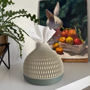 May include: A decorative tissue box with a geometric pattern in cream and a sage green base. White tissues are pulled from the top. The tissue holder is on a white shelf, with a painting of a rabbit and fruit in the background.
