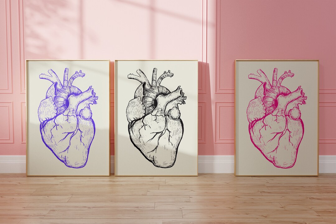 Heart Anatomy Prints - Set of 3 - College Dorm Decor - Maximalist Decor ...