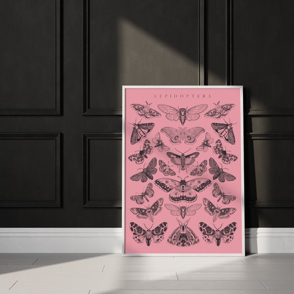 Pink Moth Print, Pastel Goth, Butterfly Taxidermy, Witchy Home Decor, Dark Cottagecore, Maximalism Decor, Pink Halloween Poster, Quirky Art