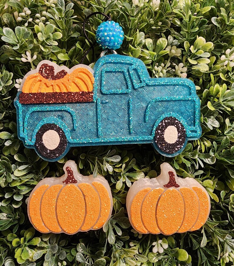 Fall Racoon Freshie Pumpkin Patch Truck Freshie, Fall Freshies, Autumn Vibes, Autumn, Fall ...