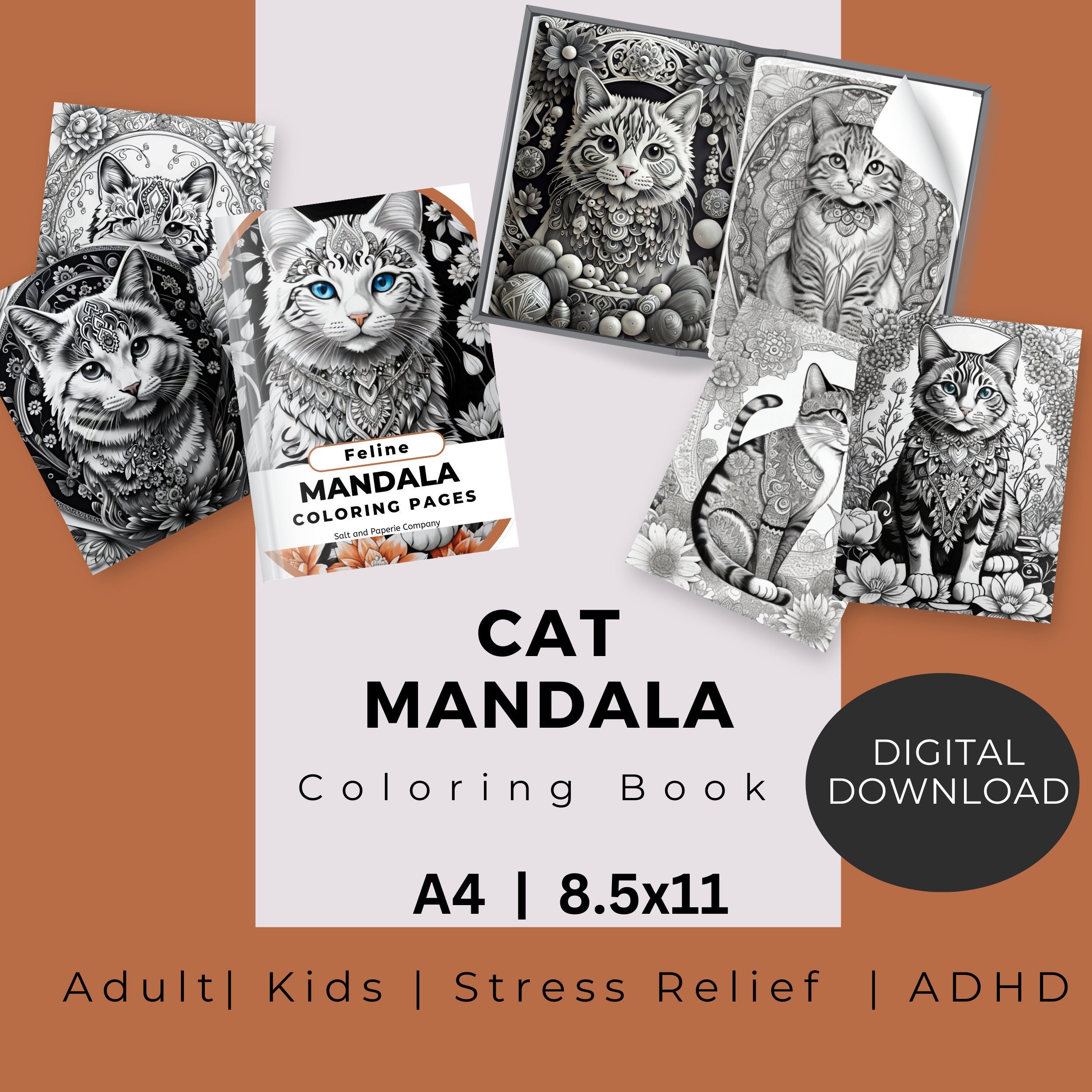 Lion Mandala Coloring Page Color Cat Animals Draw Drawing Paper Digital  File Download Adult Kids Education Art Project School Work 