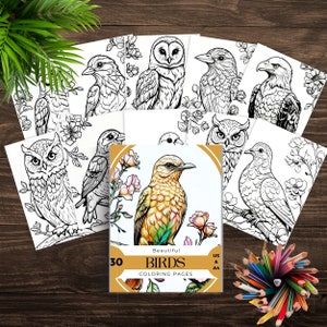 Bird Coloring Page, Bird Coloring Book, Grayscale Coloring, Printable Coloring, Owl Coloring, Grayscale Coloring Book for Adults and Kids