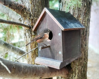 Bird house plans for bird house for birds plans woodworking plans for bird feeder plans gift for bird lover house plans diy bird houses plan