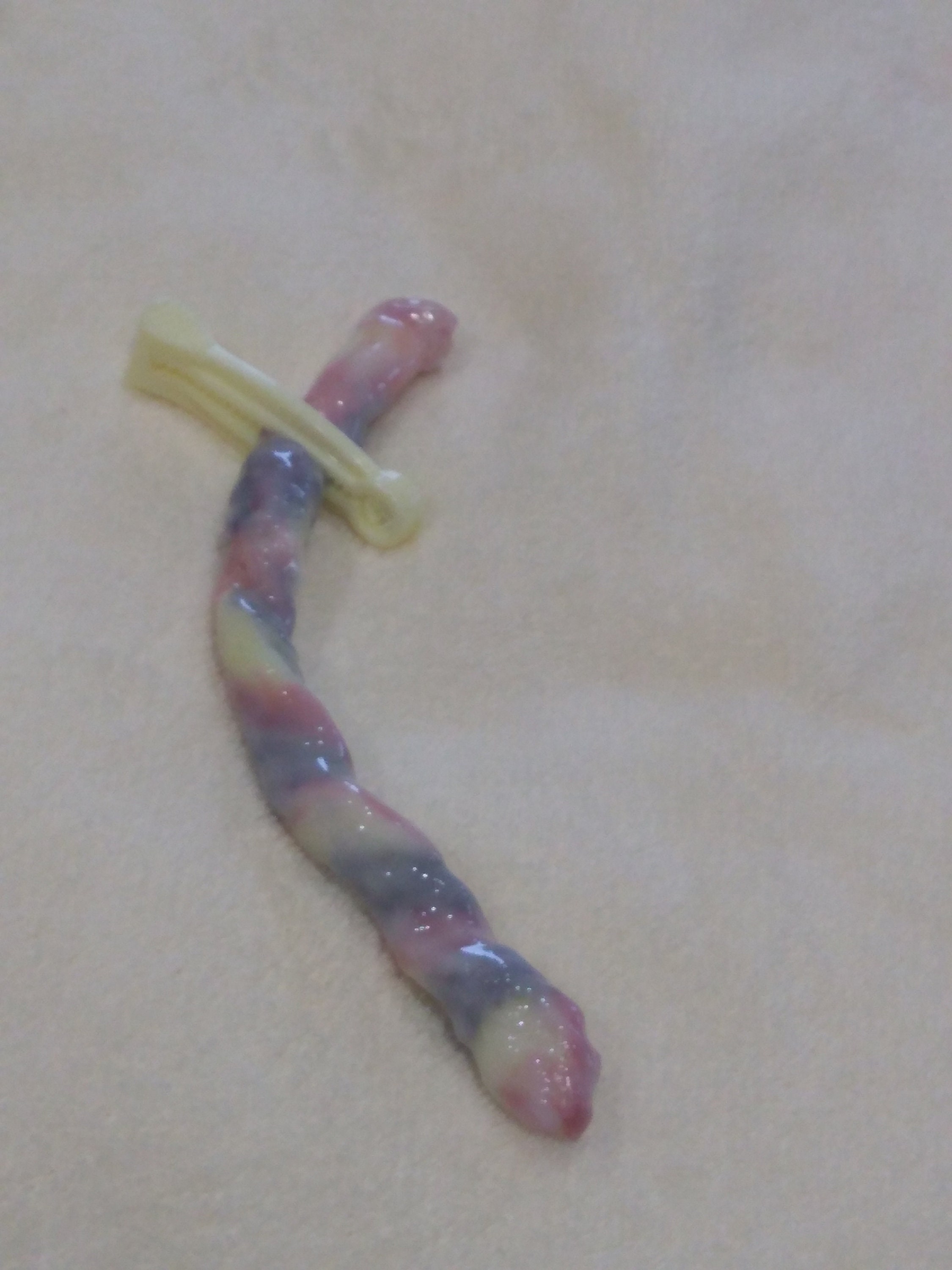 Fake Umbilical Cord Etsy