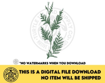 Indigenous Cedar Design: PNG, SVG, JPG Digital File (Instant Download)