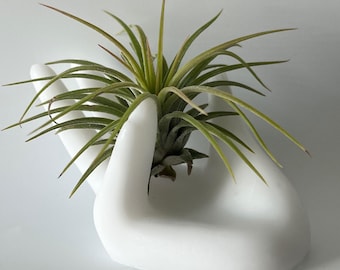 Porta anelli in resina e porta piante aeree – Verde neon o bianco