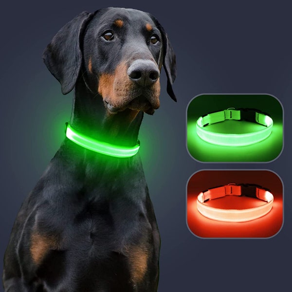 Dog Walking Lights Etsy