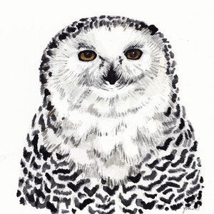 Snowy owl watercolour print